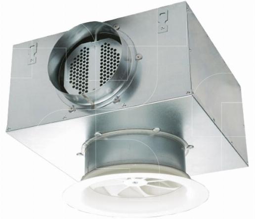 Wervelroosters rond (pulsie)