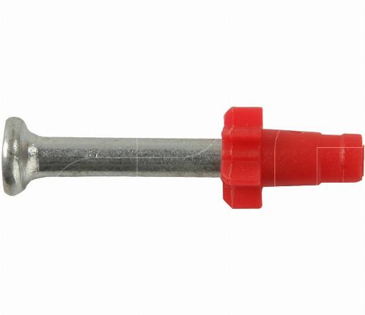 Enkelschots nagels PA